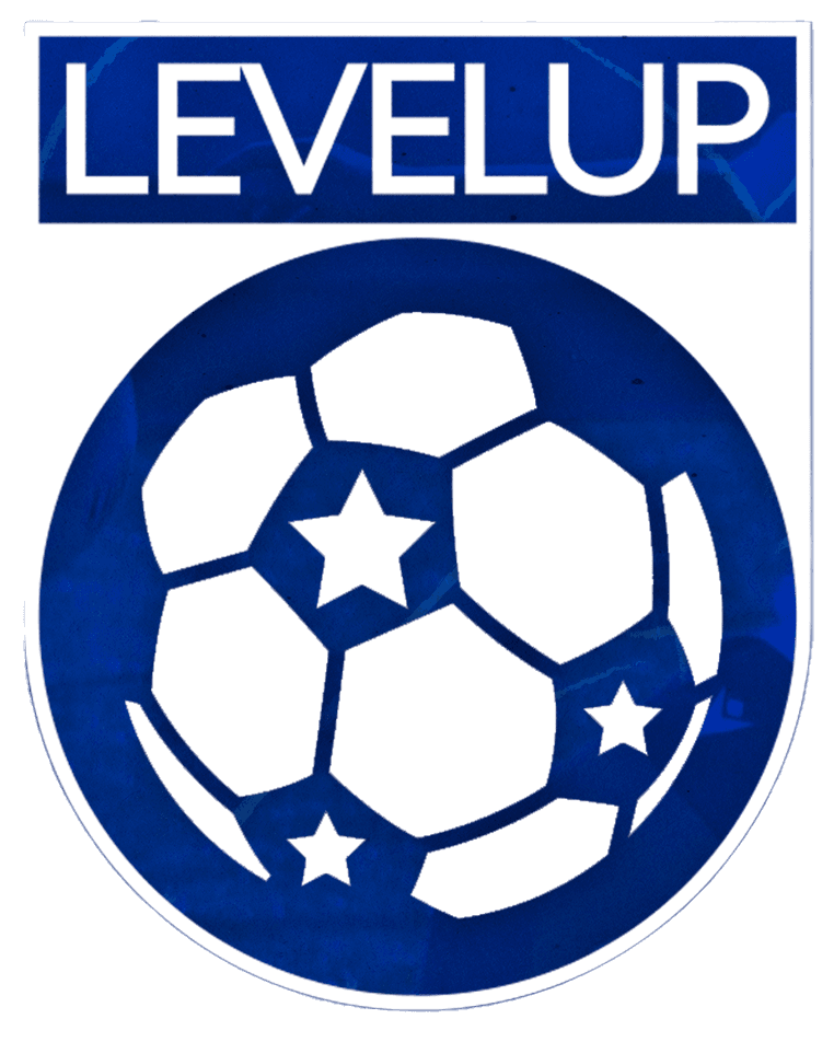 Level Up logo